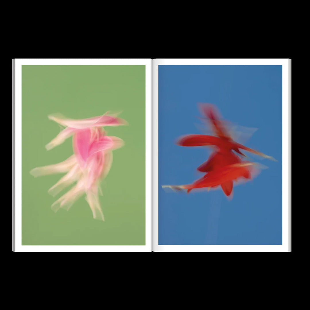 The Chromatics of Flowers