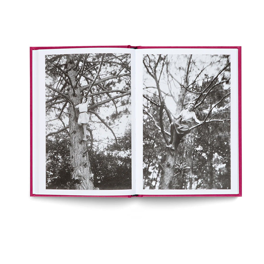 Women In trees (new edition)