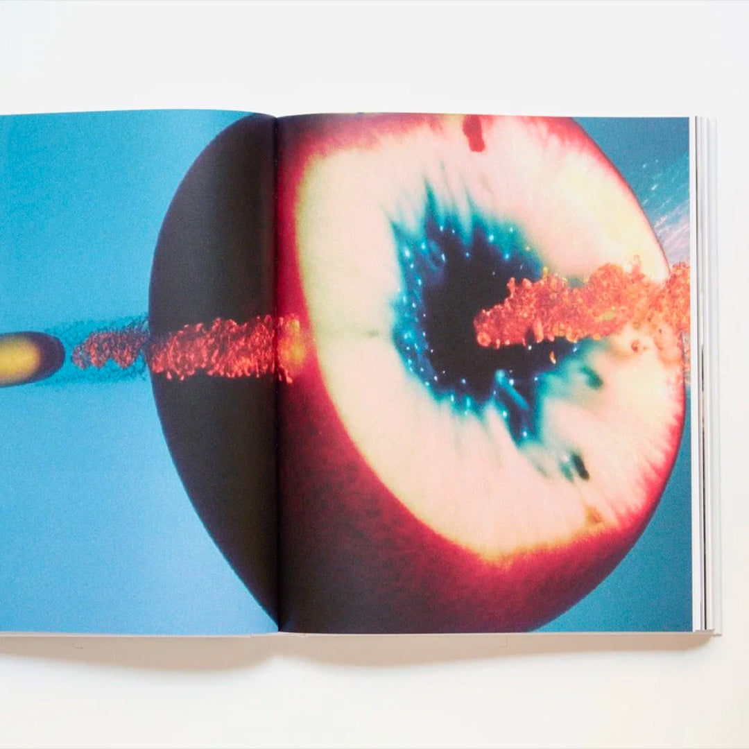 Une Histoire parallèle