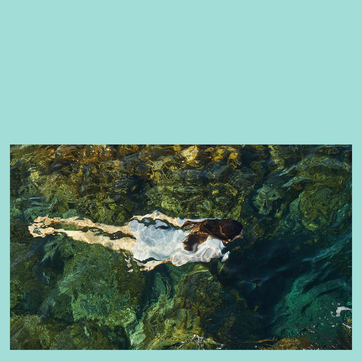 Sven Jacobsen Like Birds /English/German – librairie sans titre