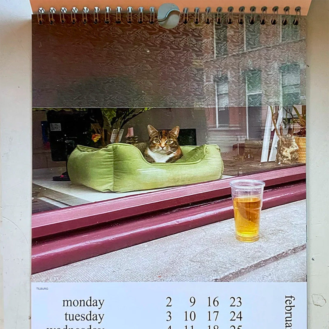 2026 Calendar - Cats and Dogs in the Windows