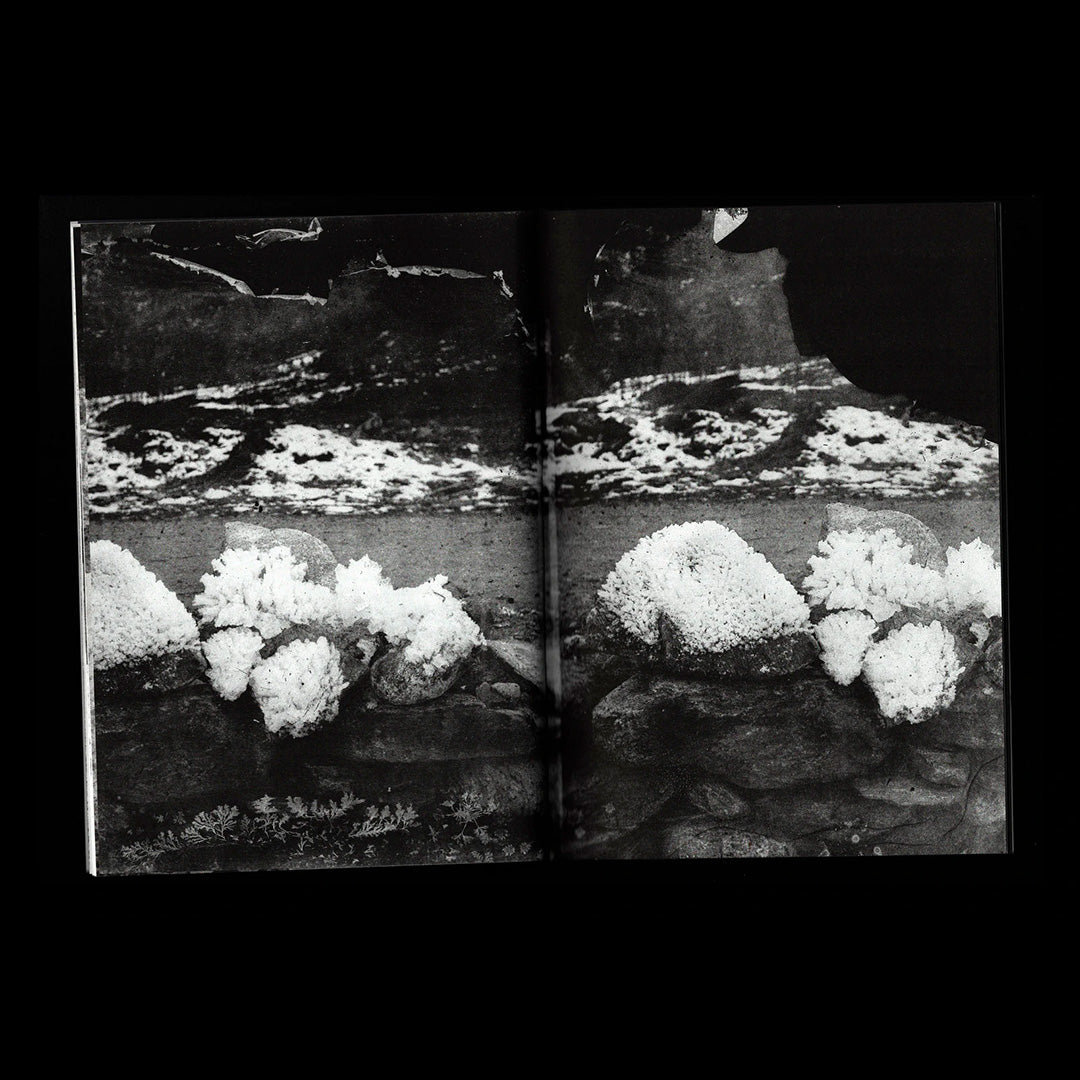 Chambre noire, Archive blanche