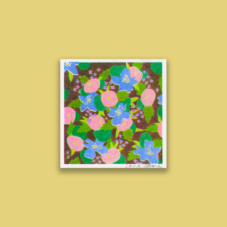 Summer bloom - postcard