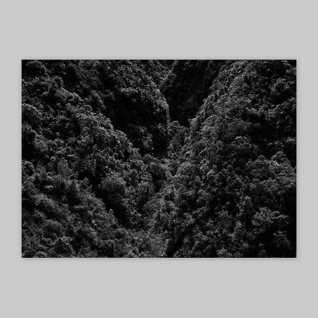 Péi Brilé / Pays Brûlé / Burnt Land