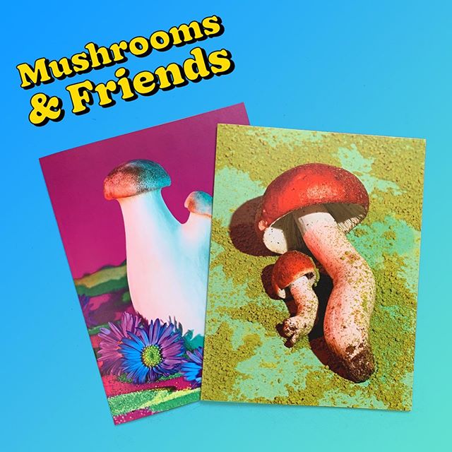 Mushrooms and friends zine 2