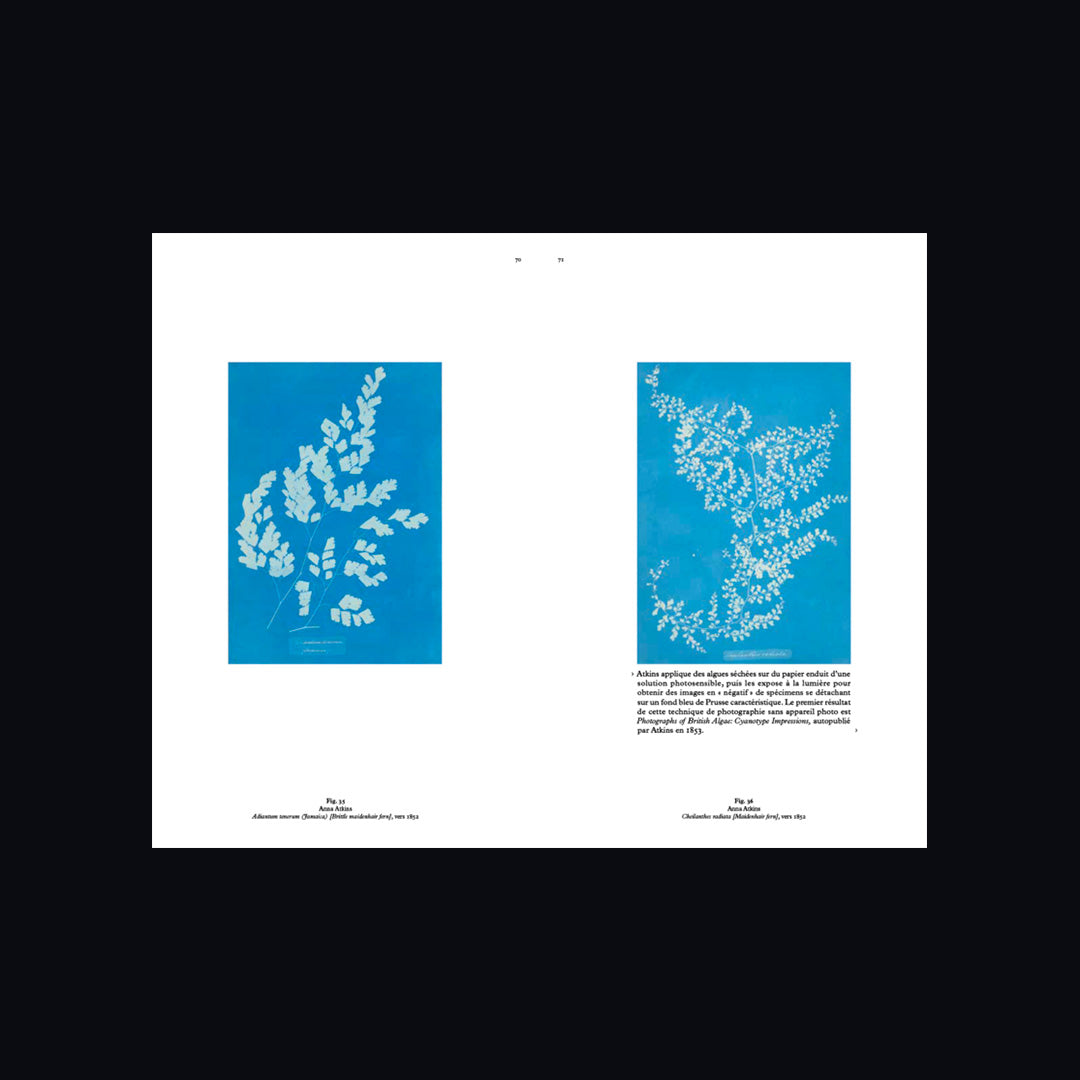 Science/Fiction. Une non-histoire des plantes