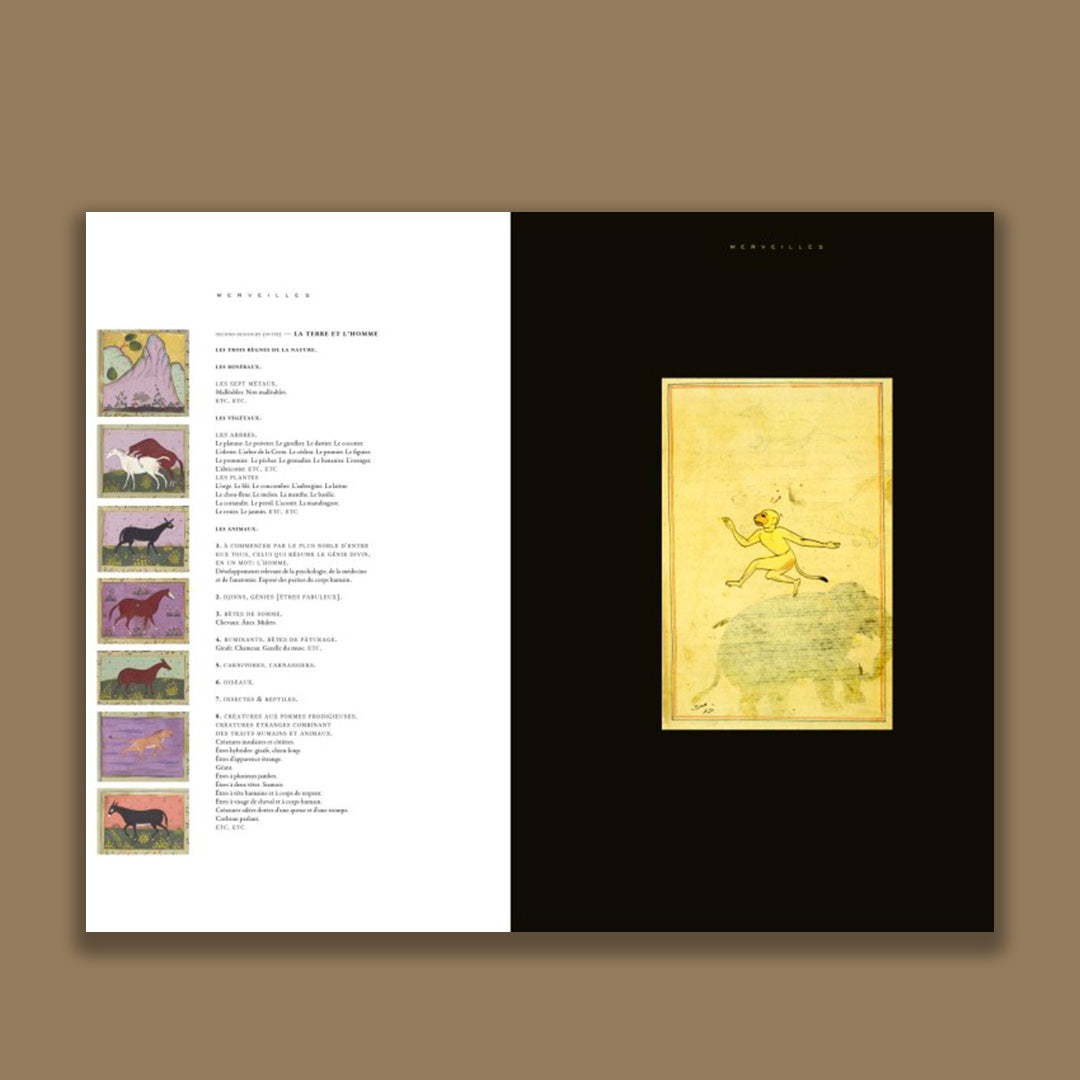 Merveilles : manuscrits d'Orient