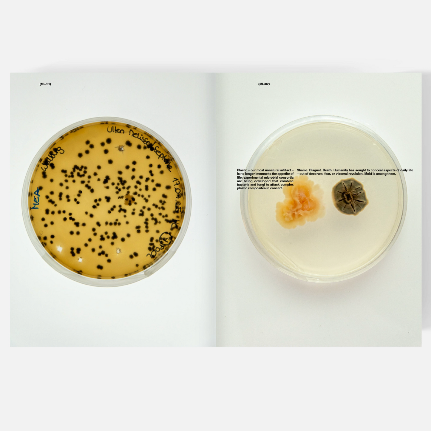 LAMPOON issue 32 : Soap