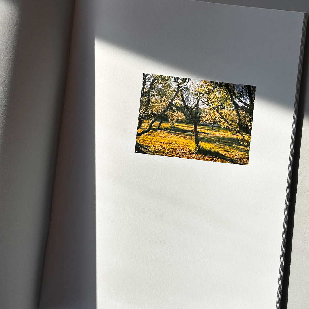 L'heure où le soleil devient noir