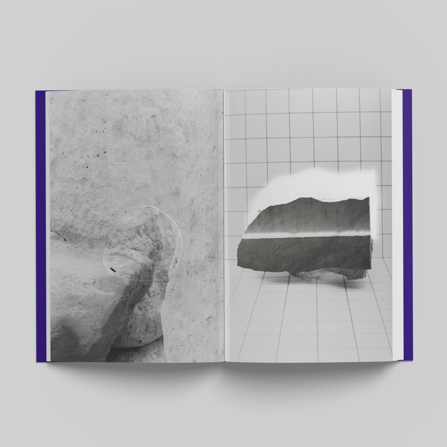 La terre n'existe pas - copie signé