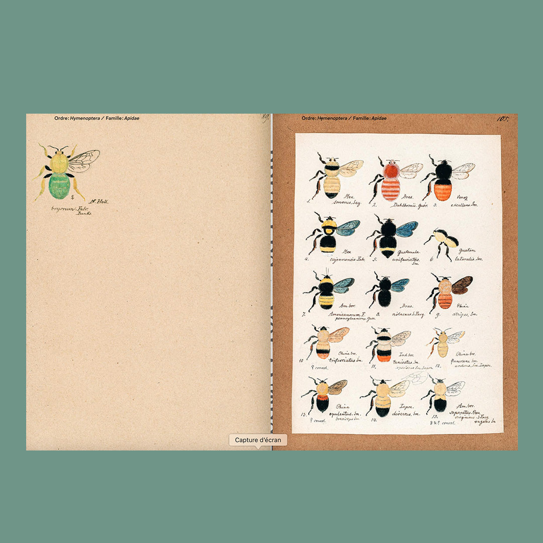 Feuilles volantes : L'Oeuvre inachevée de Heinrich Buchecker