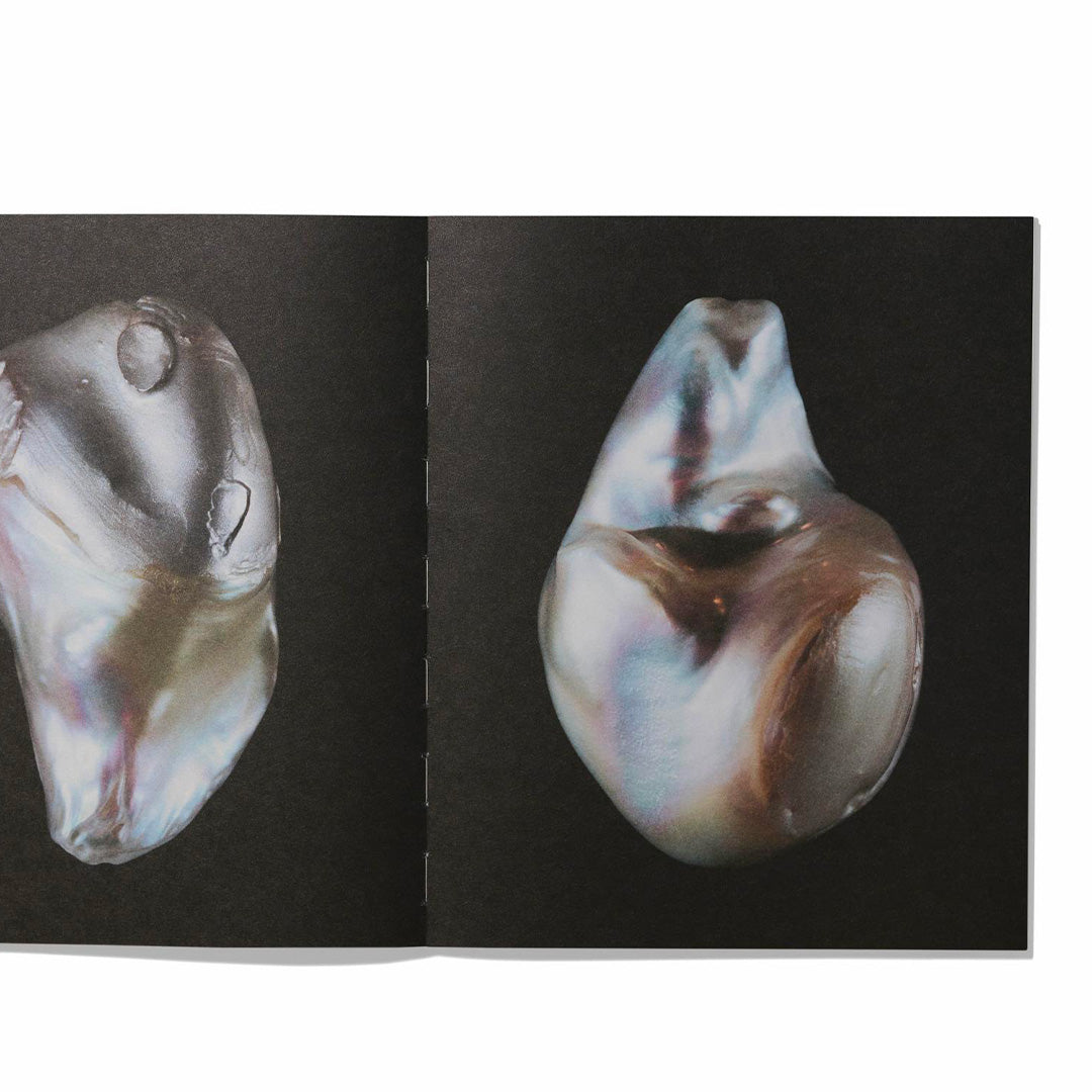 Anatomy of an oyster