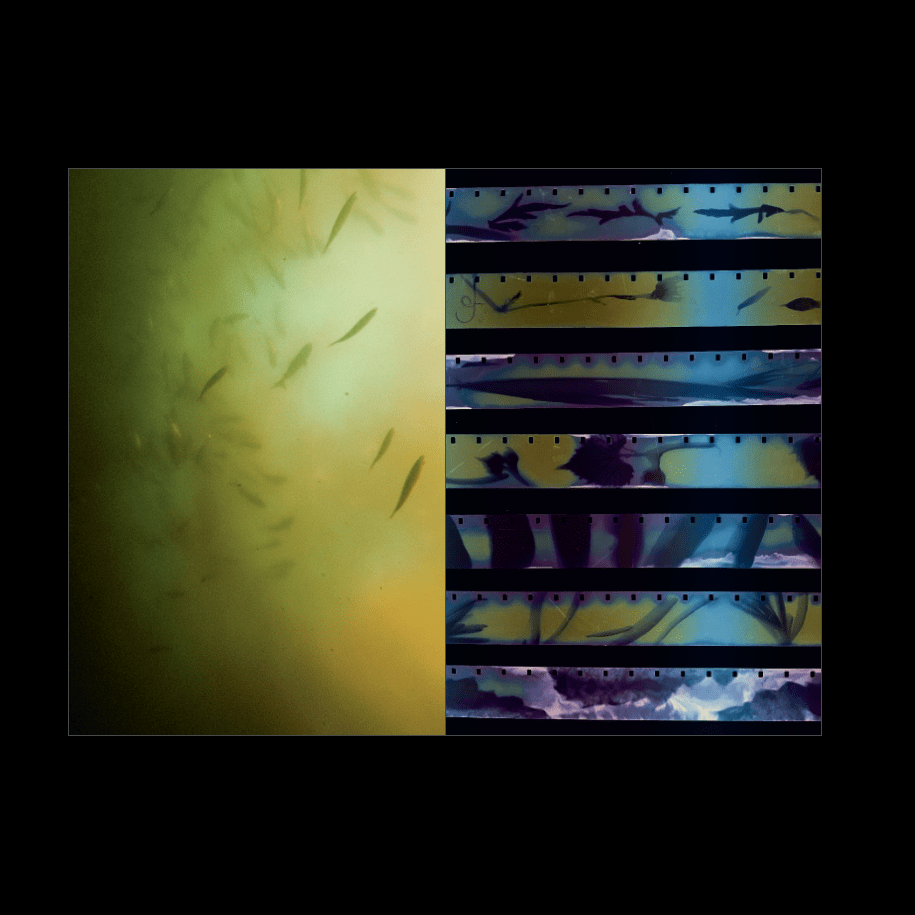 Strata : Ethnographies Indociles de Mondes Troublés