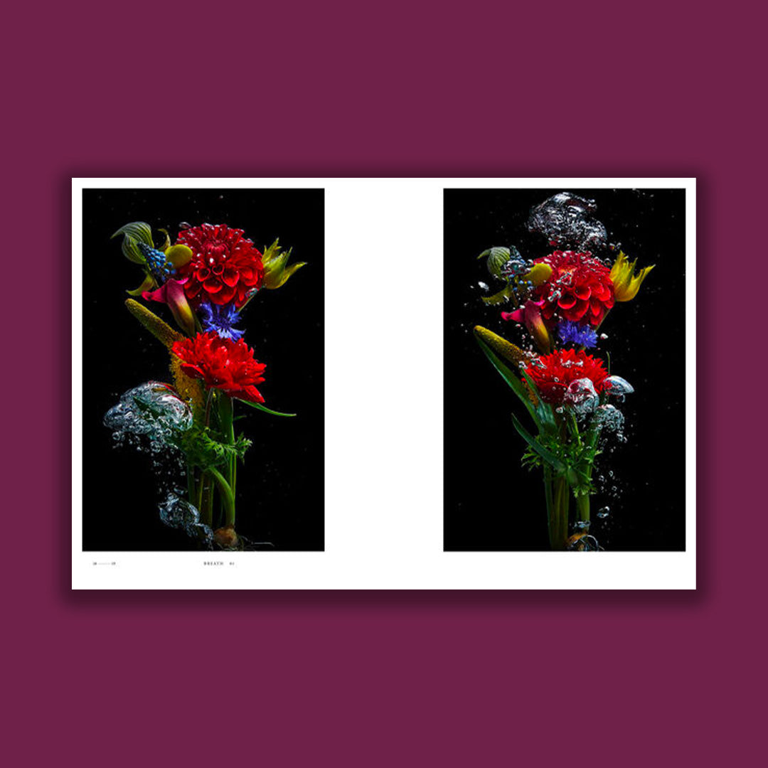 Encyclopedia of Flowers VI – librairie sans titre