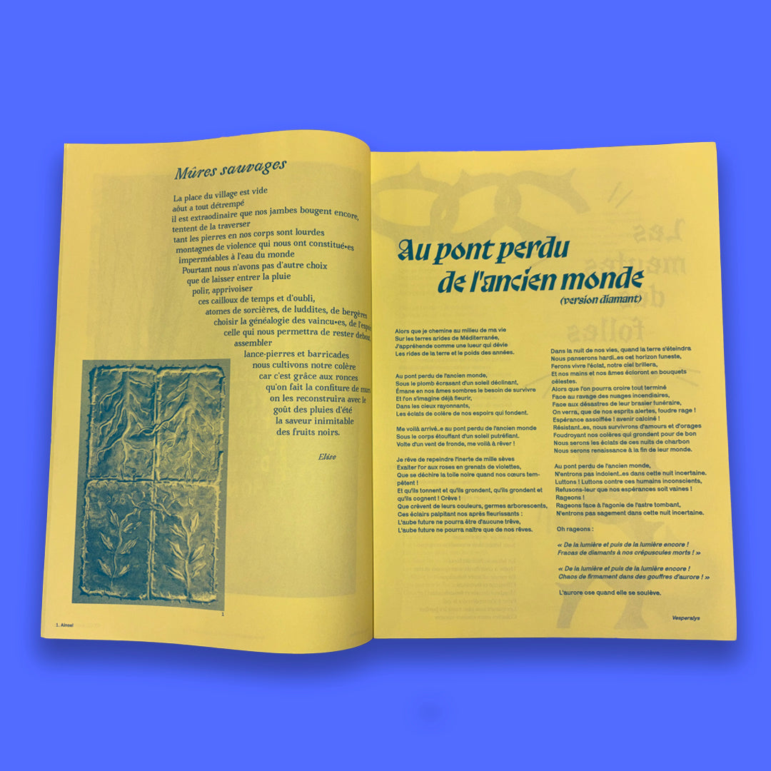 Champs de ronces - Journal de celleux qui luttent