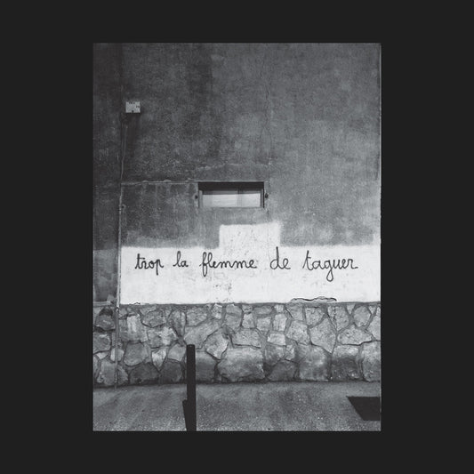 Affiche Trop la flemme de taguer