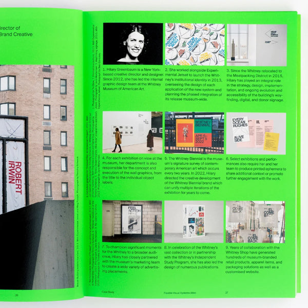 The FVS Atlas: Flexible Visual Systems from (almost) all over the world