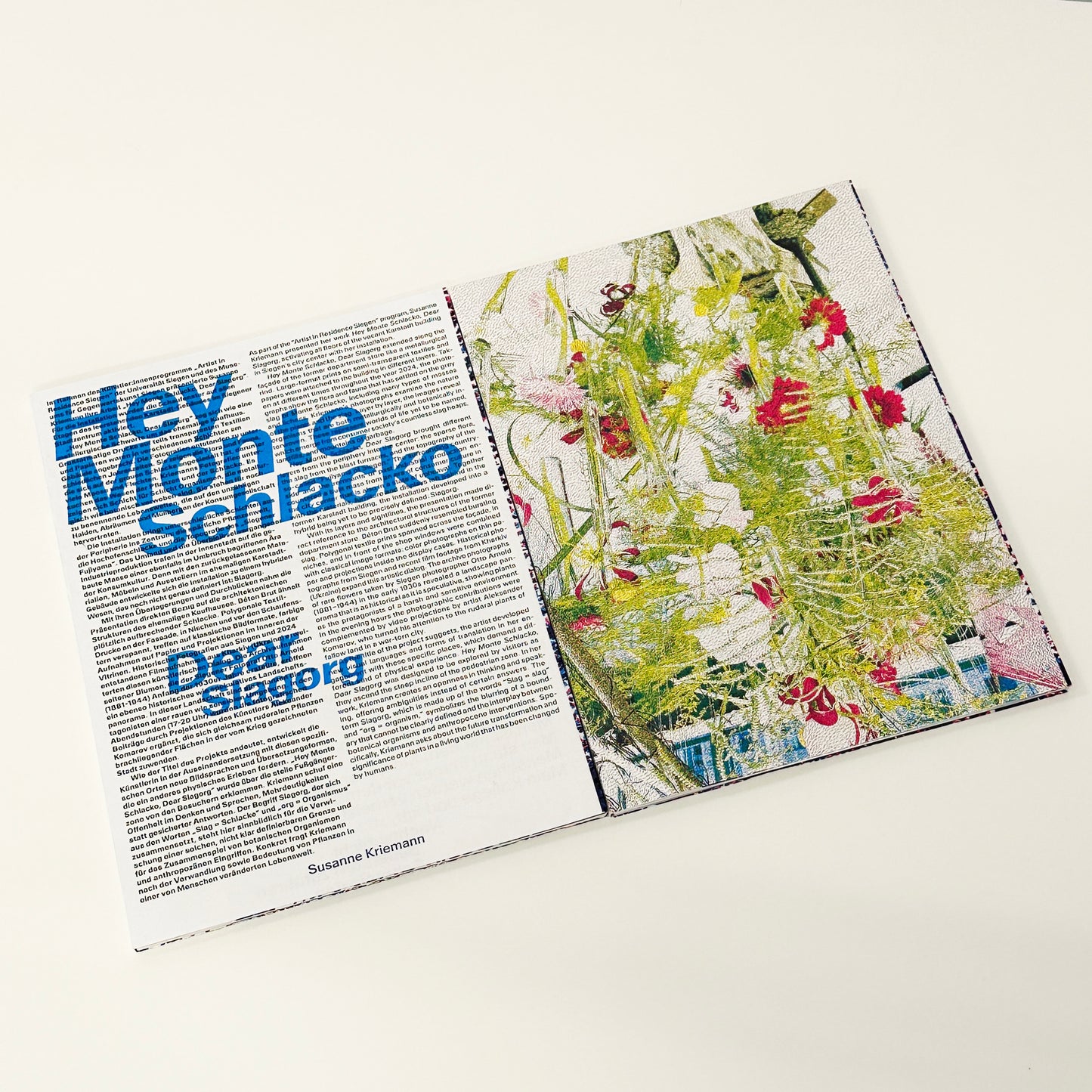 Hey Monte Schlacko, Dear Schlagorg