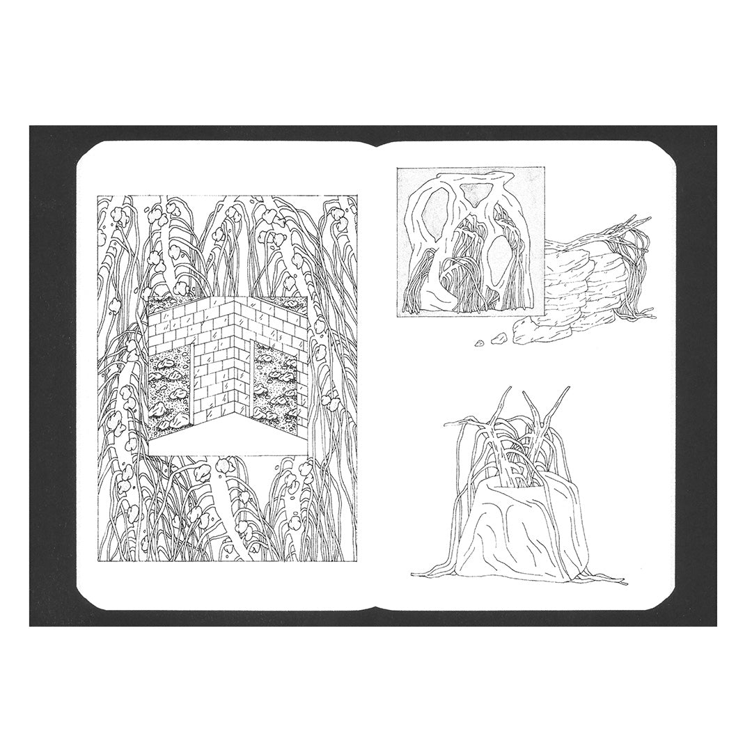 Journal de pierres