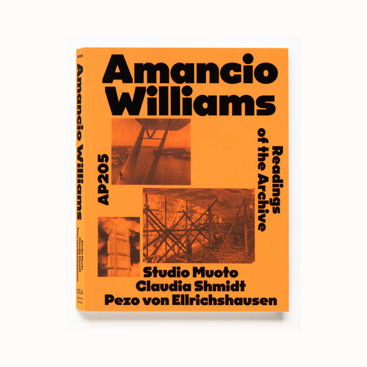 AP205 Amancio Williams