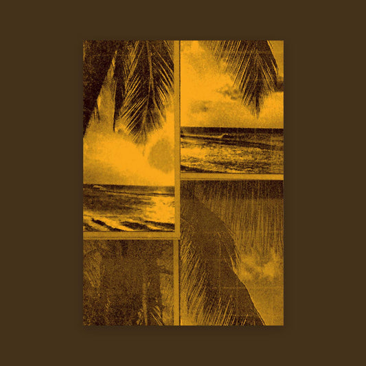 Ocean Front Property