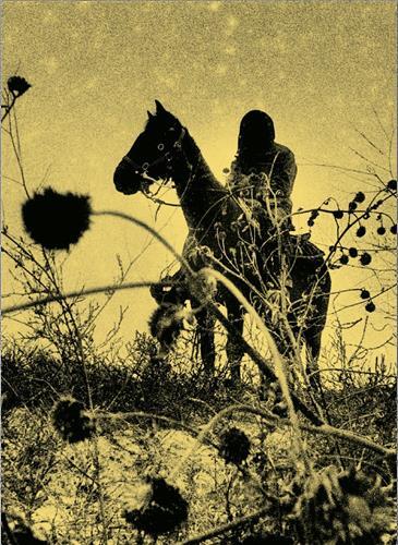 Simon Vansteenwinckel Aux Ombres /franCais