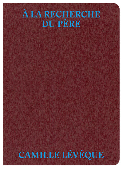 A la recherche du père