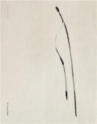 Txema Yeste Needles /anglais/espagnol