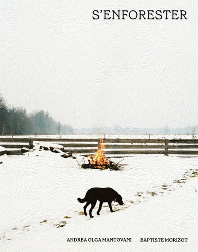 S'enforester