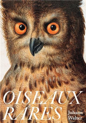 Oiseaux Rares