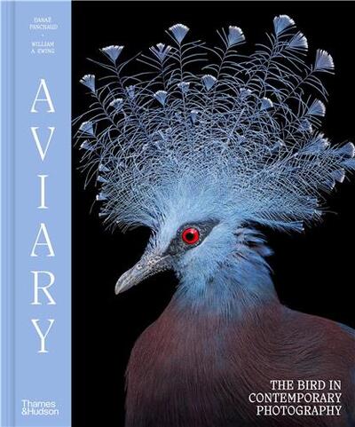 Aviary : The Bird in Contemporary Photography