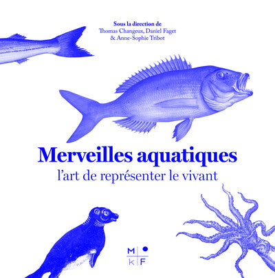 MERVEILLES AQUATIQUES