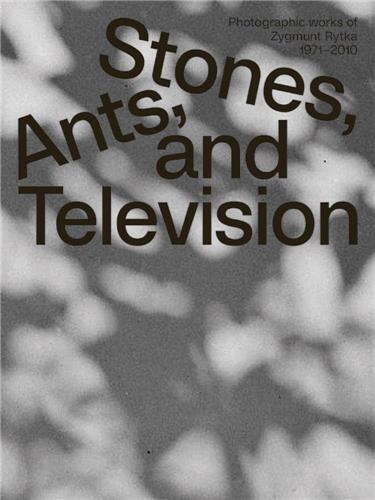 Zygmunt Rytka Stones Ants and Television /English